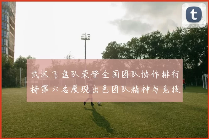 武汉飞盘队荣登全国团队协作排行榜第六名展现出色团队精神与竞技实力