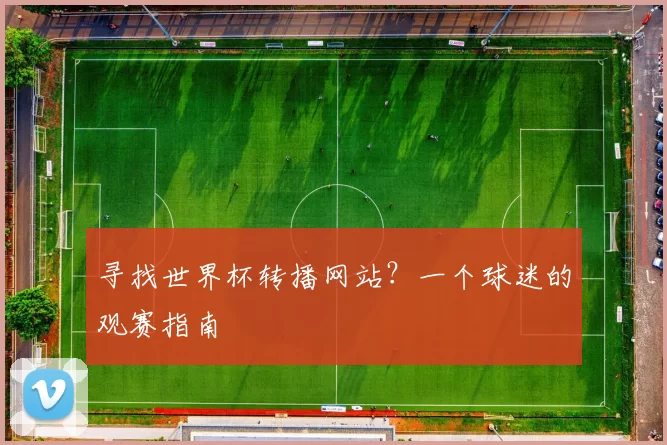 寻找世界杯转播网站?一个球迷的观赛指南