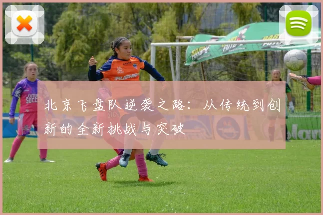 北京飞盘队逆袭之路：从传统到创新的全新挑战与突破