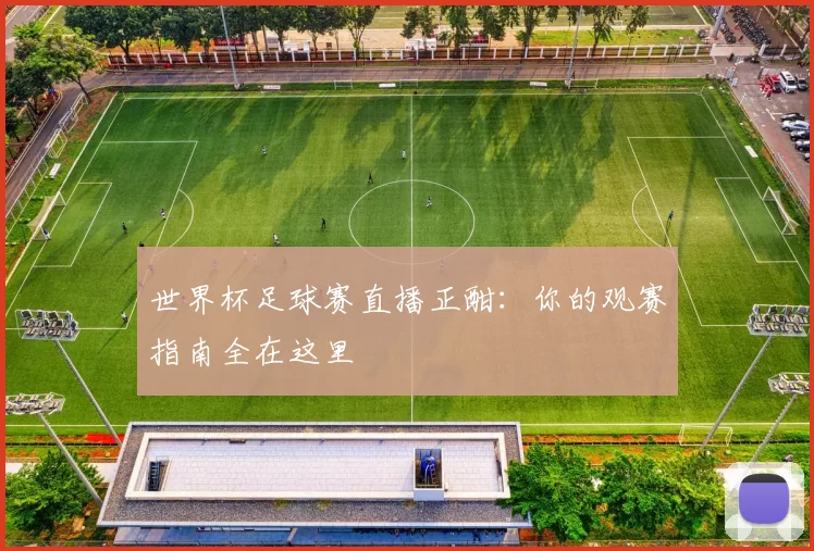 世界杯足球赛直播正酣：你的观赛指南全在这里