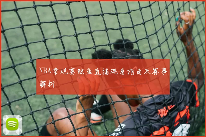 NBA常规赛鲸鱼直播观看指南及赛事解析