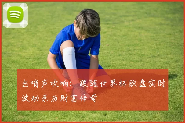当哨声吹响：跟随世界杯欧盘实时波动亲历财富传奇
