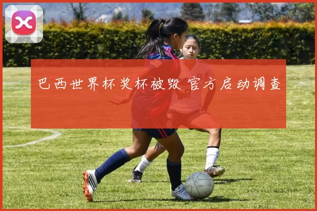 巴西世界杯奖杯被毁 官方启动调查