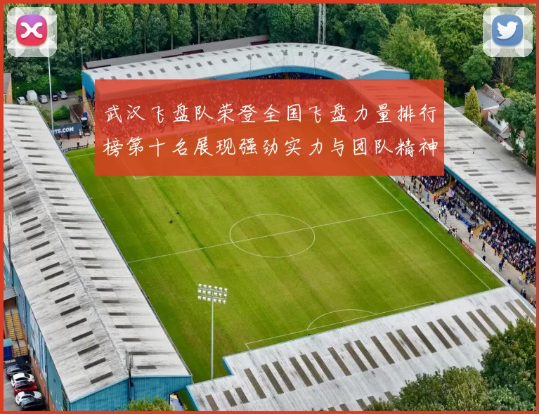 武汉飞盘队荣登全国飞盘力量排行榜第十名展现强劲实力与团队精神