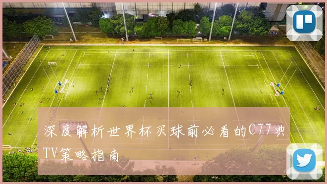深度解析世界杯买球前必看的C77典TV策略指南