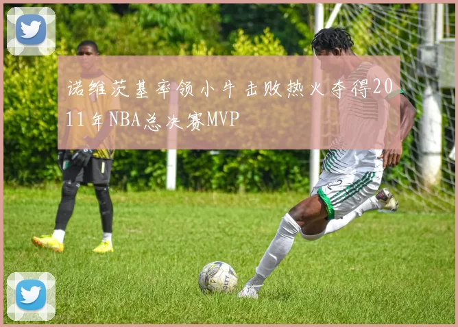 诺维茨基率领小牛击败热火夺得2011年NBA总决赛MVP