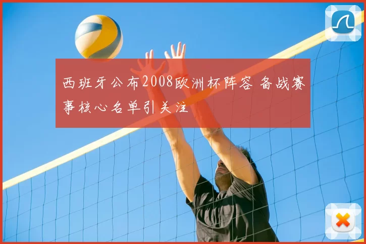 西班牙公布2008欧洲杯阵容 备战赛事核心名单引关注