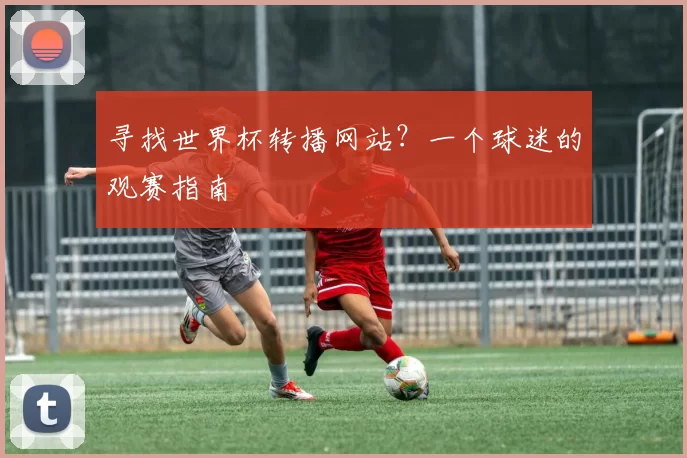 寻找世界杯转播网站?一个球迷的观赛指南