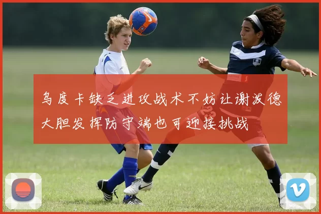 乌度卡缺乏进攻战术不妨让谢泼德大胆发挥防守端也可迎接挑战