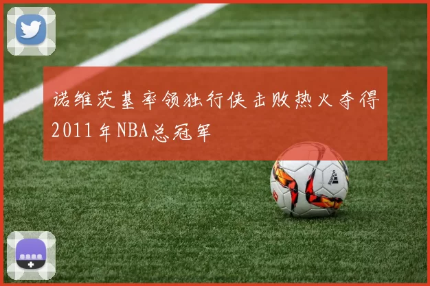 诺维茨基率领独行侠击败热火夺得2011年NBA总冠军