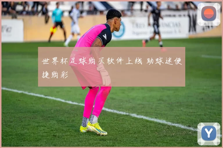 世界杯足球购买软件上线 助球迷便捷购彩