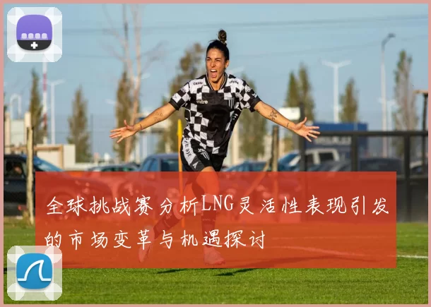 全球挑战赛分析LNG灵活性表现引发的市场变革与机遇探讨