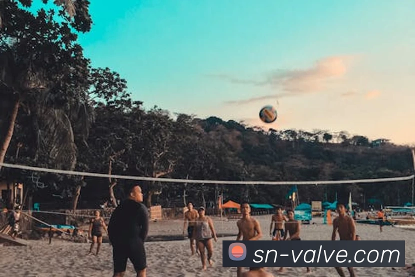 雅博appAPP 封面图